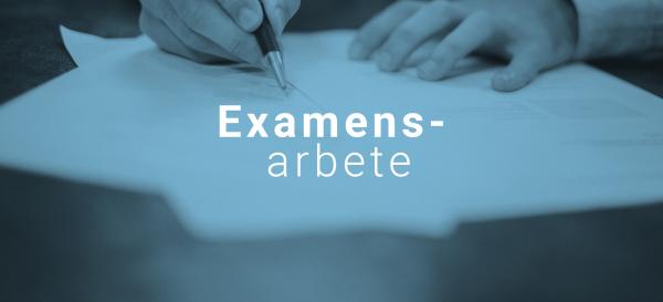examensarbete Thumbnail