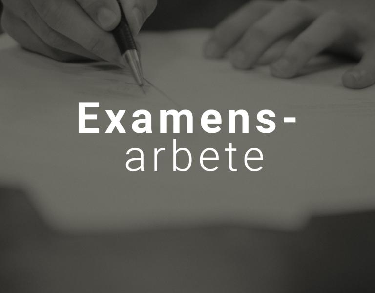 examensarbete