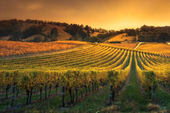 Country side, Australia