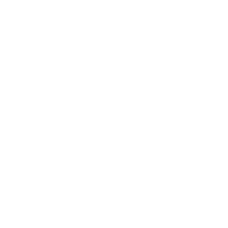 systecon_icon_white